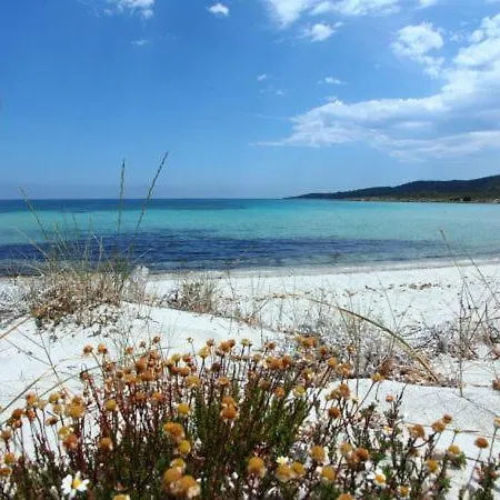 Appartement Pittulongu Sleeps 4 Olbia